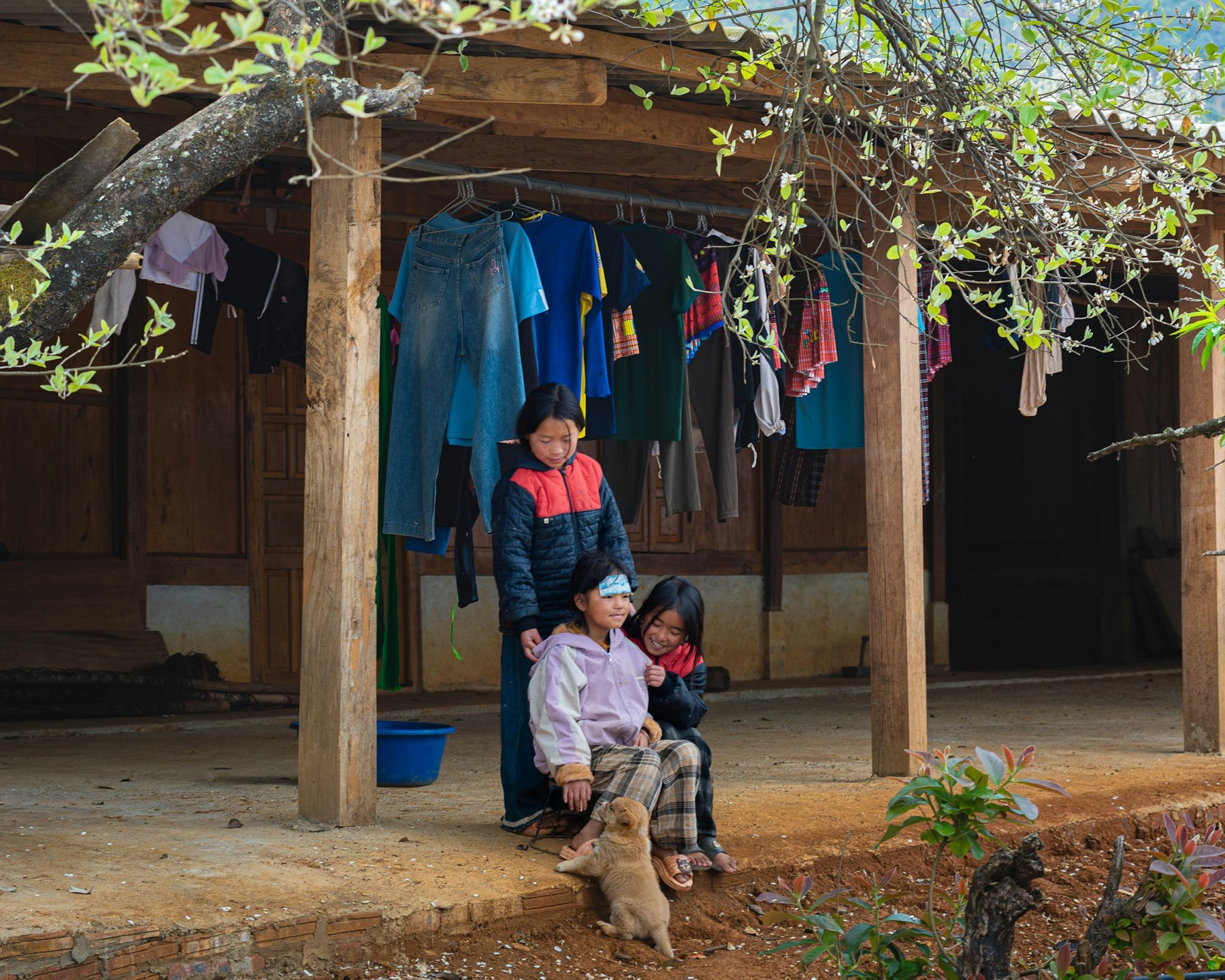 Children playing with a dog on a wooden porch